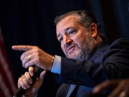 Ted Cruz to Border Chief Mayorkas: ‘Your Refusal to Do Your Job Is Revolting’