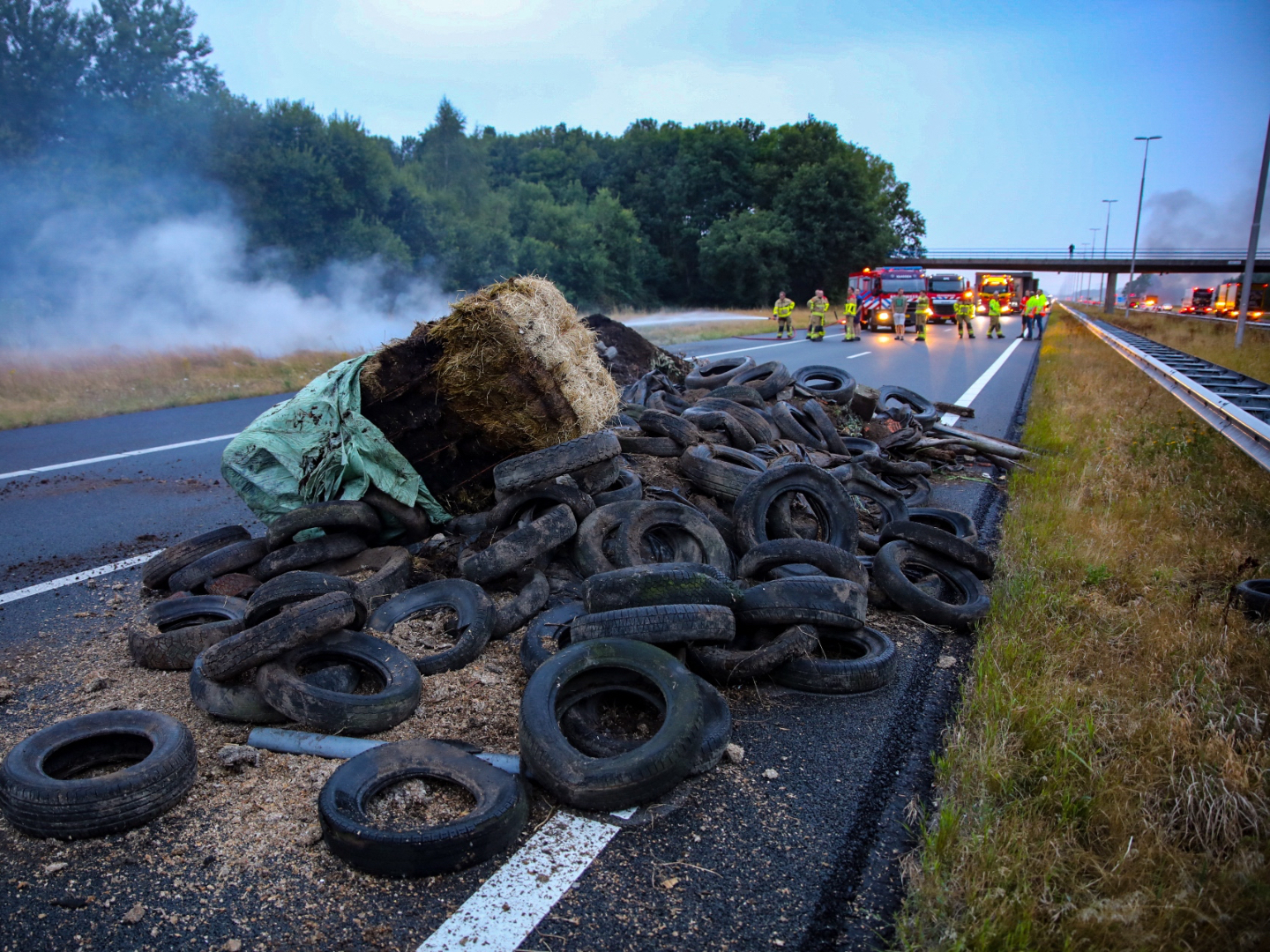 Dutch Farmers Block Highways with Manure in Anti-Green Agenda Protest - Vimarsana News