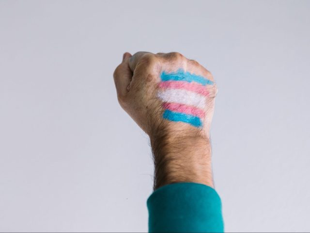 French Court Upholds Excluding Transgender Men from IVF Treatment - Vimarsana News