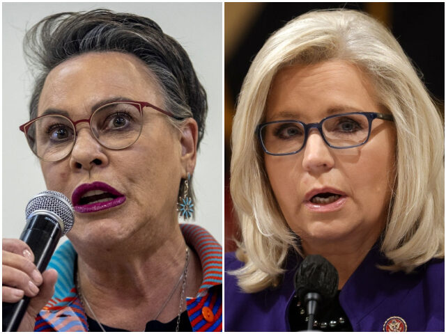 Harriet Hageman Blasts Liz Cheney in Statewide Ad Blitz: ‘It’s Not About Her, It’s About You’