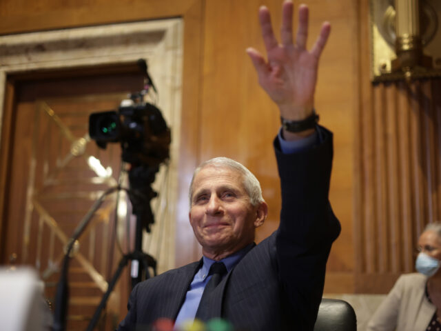 WASHINGTON, DC - MAY 17: Director of National Institute of Allergy and Infectious Diseases Anthony Fauci gestures as he waits for the beginning of a hearing before the Subcommittee on Labor, Health and Human Services, and Education, and Related Agencies of Senate Appropriations Committee at Dirksen Senate Office Building on …
