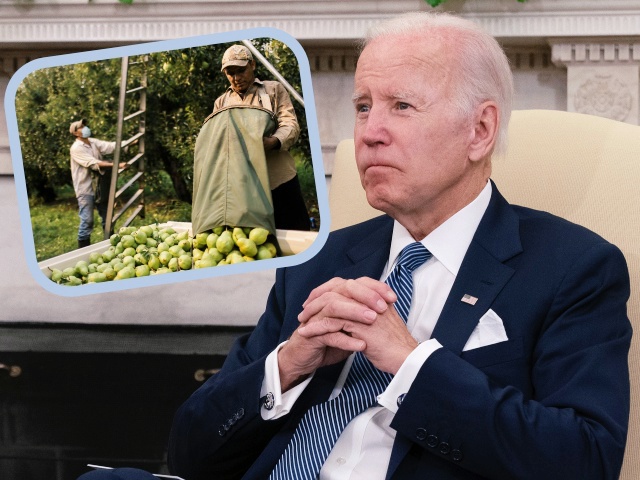Biden Brags About Importing 'Record' Foreign Workers to Compete Against Americans for Jobs - Vimarsana News