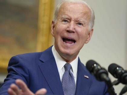 Joe Biden (Evan Vucci / Associated Press)