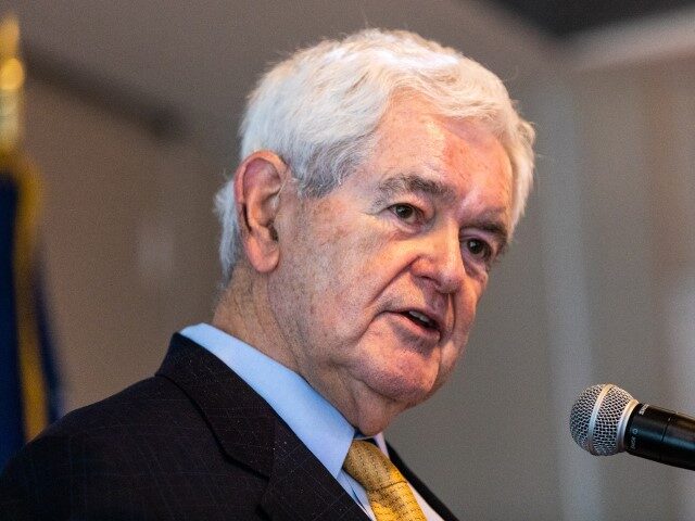 Newt Gingrich, former speaker of the U.S. House of Representatives, speaks during a campai