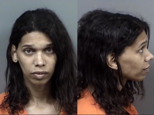 Multiple Trans Activists Arrested for Sex Crimes Involving Children - Vimarsana News