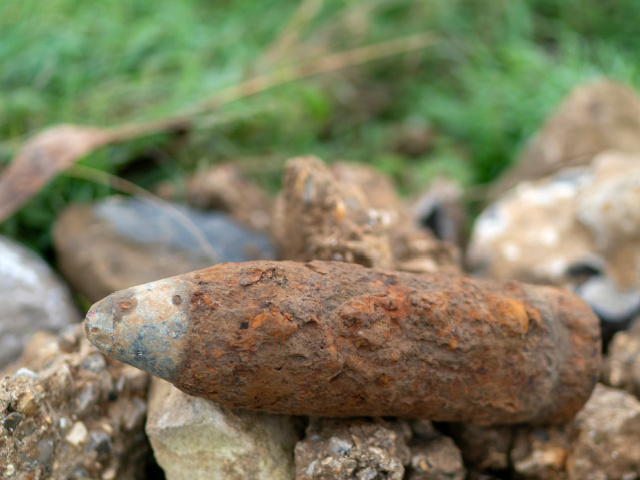 Report: South Carolina Dog Digs Up Unexploded Ordnance in Backyard - Vimarsana News