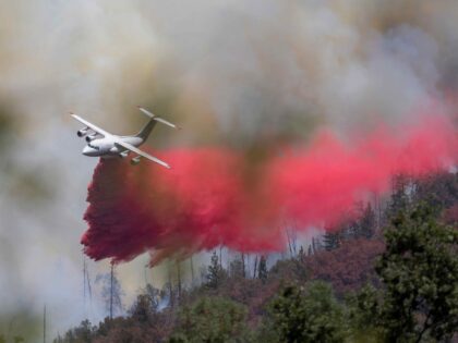 air tanker Oak Fire (David McNew / AFP / Getty)