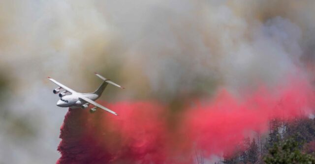 Photos: Firefighters Battle Oak Fire Near Yosemite National Park