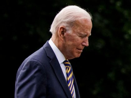 Poll: Most Democrats Reject Joe Biden Reprise for 2024