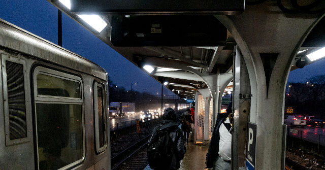NextImg:Chicago Police: Woman Fatally Stabbed on CTA Platform; Suspect Identified