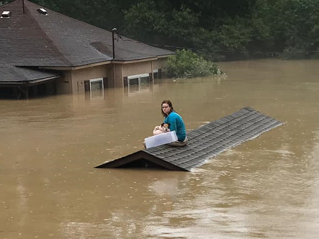 Chloe Adams and her dog take refuge from a flood on a roof.