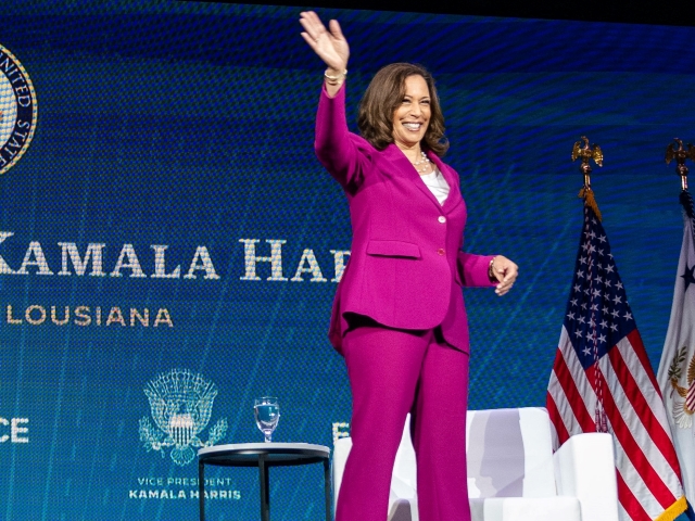 Harris: We'll Do Everything to Manage 'What Might Be an Influx' at Border - Vimarsana News