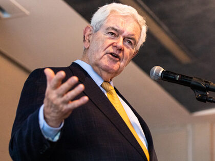 Gingrich: Midterms Will Be ‘Much Bigger Republican Tsunami’ than Expected