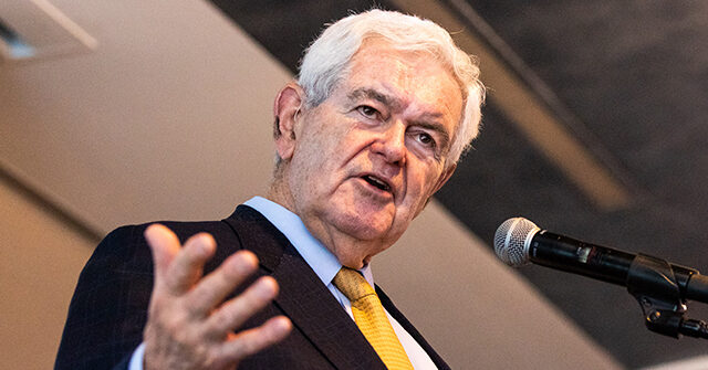 Gingrich: Voting Against Biden Impeachment Will 'Guarantee' Primary Challenge for GOP Moderates