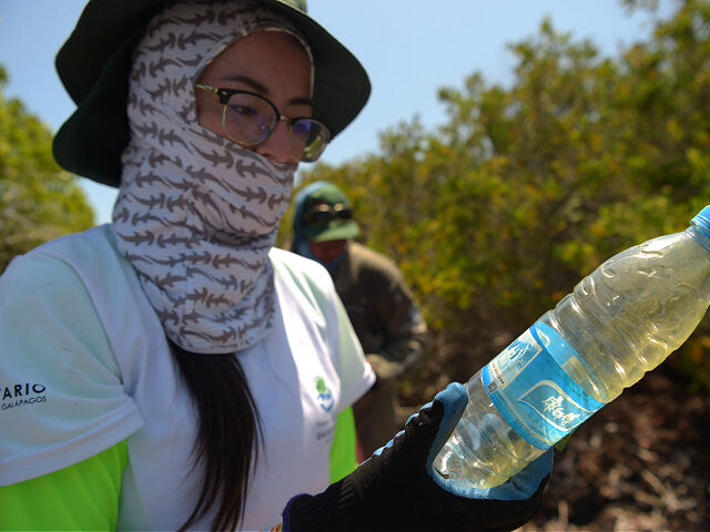 A volunteer holds a plastic bottle collected on Isabela Island in the Galapagos archipelago in the Pacific Ocean, 1000 km off the coast of Ecuador, on February 17, 2019. - Galapagos National Park rangers and a group of volunteers collect garbage in remote places and unpopulated areas on the Isabela …