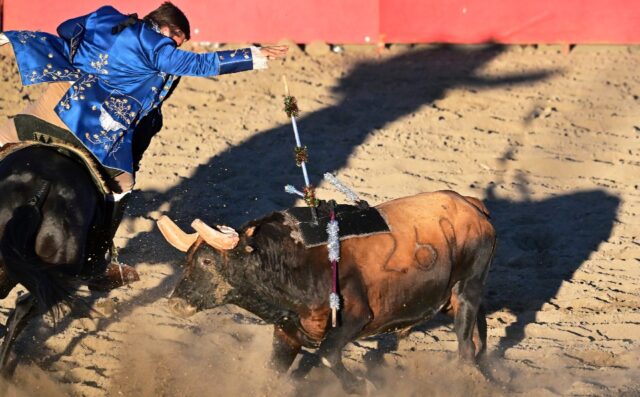 At Californian bullfights, a small velcro-padded spear sticks to a cushion attached to the