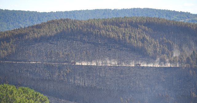 Firefighters contain 'mega-fire' in southern France - Vimarsana News