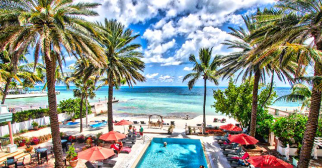 Ukrainian Gang Stole Jobs in Key West, Florida, from Americans for 14 Years - Vimarsana News
