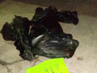 GRAPHIC EXCLUSIVE: Mexican Border State Cop-Turned-Cartel Lord Dumps Dismembered Body