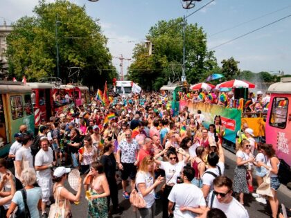 Participants attend the Euro Pride 2019 gay pride parade in Vienna, Austria on June 15, 2019. (Photo by JOE KLAMAR / AFP) (Photo credit should read JOE KLAMAR/AFP via Getty Images)