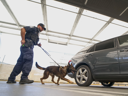A US Customs and Border Protection canine team agent checks automobiles for contraband in the line to enter the United States at the San Ysidro Port of Entry on October 2, 2019 in San Ysidro, California. - Fentanyl, a powerful painkiller approved by the US Food and Drug Administration for …