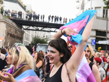 A participant holds a Transgender flag during the annual Pride Parade in Paris on June 25,
