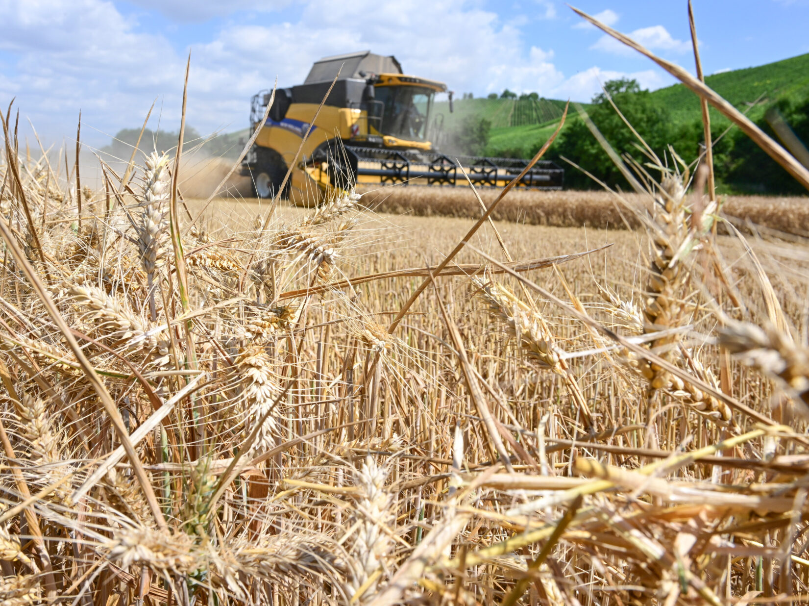Food Crisis: 50 Per Cent Crop Loss Likely Due to Drought - Vimarsana News