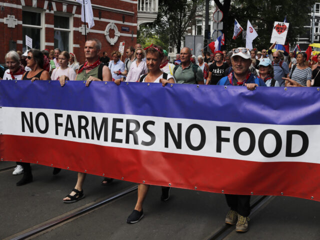 AMSTERDAM, the NETHERLANDS - JULY 23: Demonstrators attend a rally of the Netherland In Re