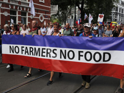 AMSTERDAM, the NETHERLANDS - JULY 23: Demonstrators attend a rally of the Netherland In Resistance group sympathizers to support farmers, fishermen and truckers, on Dam Square in Amsterdam on July 23, 2022. (Photo by Mohamed Farouk Batiche/Anadolu Agency via Getty Images)