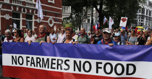Dutch Farmer Protest: Man Convicted for Roadblocks