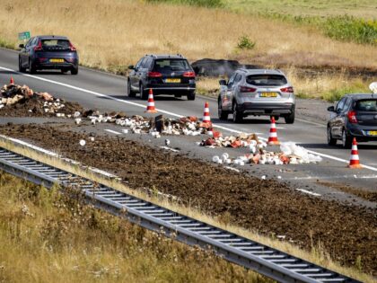 Cars drive past manure and debris dumped on the A50 road during a farmers' demonstration against the government's nitrogen policy, near Apeldoorn on July 27, 2022. - Netherlands OUT (Photo by Sem van der Wal / ANP / AFP) / Netherlands OUT (Photo by SEM VAN DER WAL/ANP/AFP via Getty …