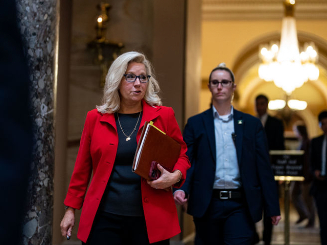WASHINGTON, DC - JULY 28: Rep. Liz Cheney (R-WY) walks to a meeting in the office of Speaker of the House Nancy Pelosi (D-CA) on Capitol Hill on Thursday, July 28, 2022 in Washington, DC. (Kent Nishimura / Los Angeles Times via Getty Images)