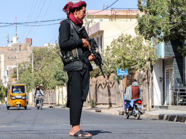 A Taliban fighter stands guard at a checkpoint in Herat on August 15, 2022. - Taliban figh