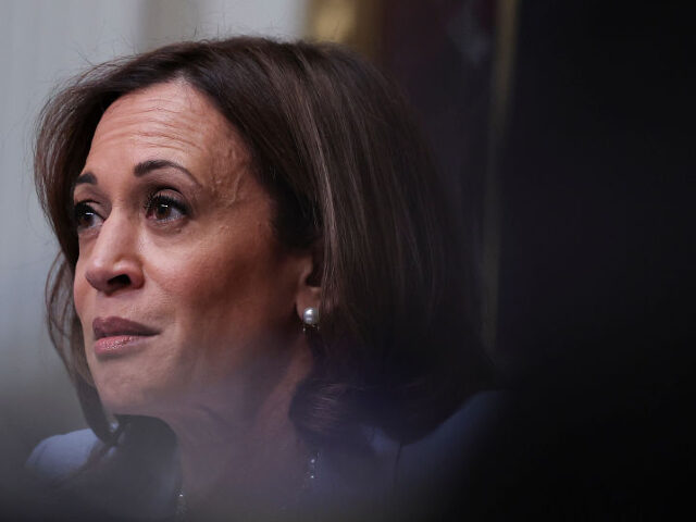 WASHINGTON, DC - AUGUST 03: U.S. Vice President Kamala Harris attends a meeting of the Task Force on Reproductive Healthcare Access during an event at the White House complex August 3, 2022 in Washington, DC. Abortion rights advocates achieved a victory yesterday in Kansas when voters rejected a proposed constitutional …