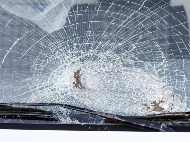 Italy: Salvini Party MP Hospitalised After Migrant Threw Rock at Car - Vimarsana News
