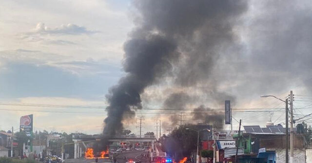 Co-Founder of Cartel Jalisco Terror Group Pleads Guilty to Drug Charges