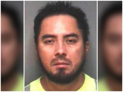 An illegal alien, initially accused of plotting a shooting on …