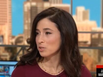 recession - Catherine Rampell on Biden's loan plan on 8/26/2022 "At This Hour"