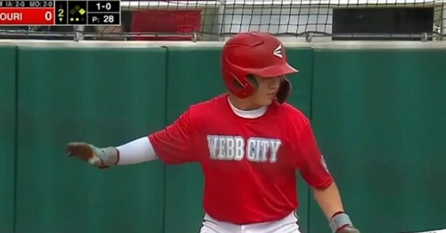 Little League player goes viral for delicious ‘dream job’