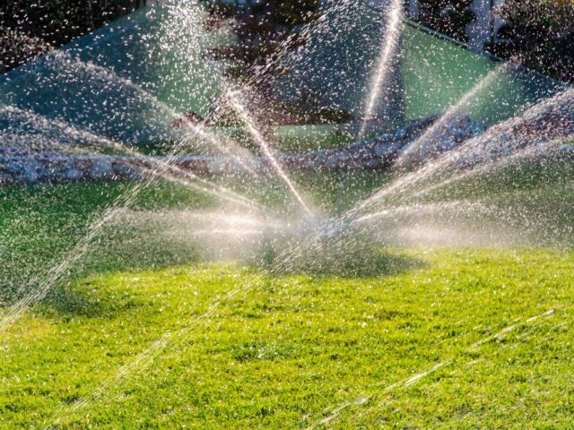 Sprinklers (Getty)