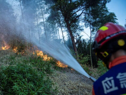 HEJIANG, CHINA - AUGUST 22: A firefighter battles to contain the forest fire on the mountain on August 22, 2022 in Hejiang County, Luzhou City, Sichuan Province of China. A total of 207 people have been evacuated and no casualties have been reported. (Photo by Liu Zhongjun/China News Service via …
