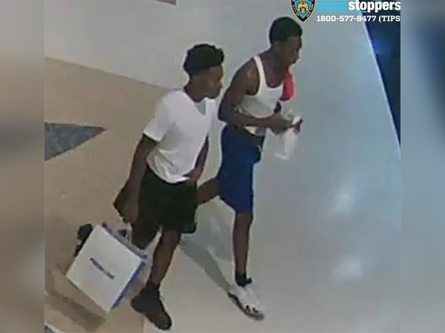 Watch: Man Sucker Punched at NYC Mall – No One Immediately Helps - Vimarsana News