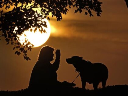 FILE - A woman plays with a dog at sunset, Saturday, Nov. 6, 2021, at a park in Kansas City, Mo. In August 2022, health officials are warning people who are infected with monkeypox to stay away from household pets, since the animals could be at risk of catching the …