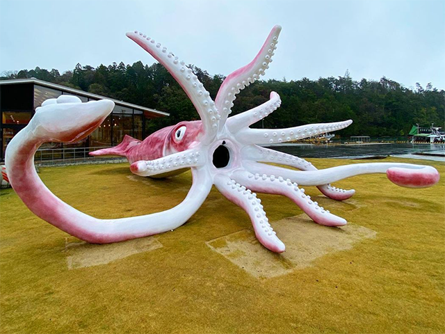 Как выглядит самый большой кальмар Japan: Giant Squid Statue Built with Pandemic Aid Earning Its Keep with Tourist 