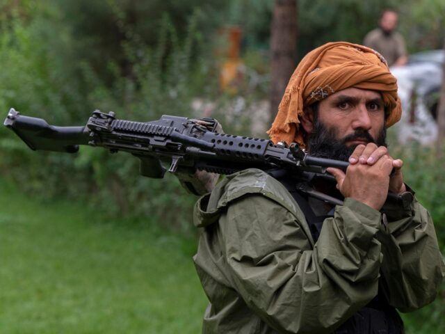 A taliban fighter stands inside the district center of Bagram in Parwan province on August