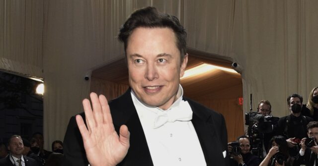 Musk’s Manchester United buyout prank messes up