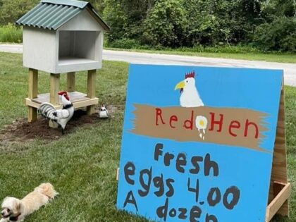 Caleb's egg stand, Red Hen