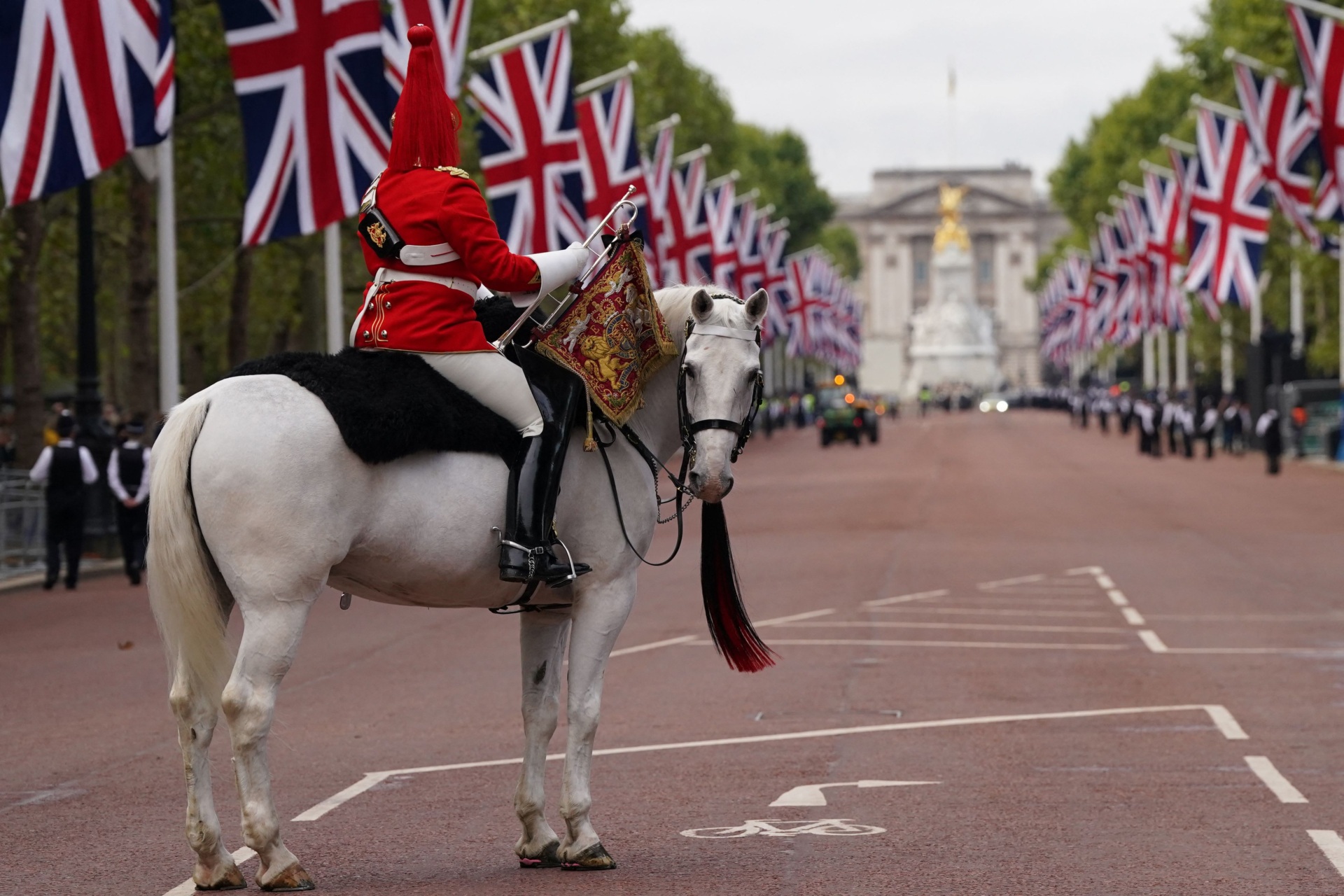 A military horse waits The Mall in central London on September 14, 2022, ahead of the ceremonial procession of the coffin of Queen Elizabeth II, from Buckingham Palace to Westminster Hall. - As preparations build for next week's state funeral, the royal family on Wednesday will walk behind the queen's coffin in a procession through central London, after which thousands of members of the public are expected to come to pay their final respects at her lying in state. (Photo by Victoria Jones / POOL / AFP) (Photo by VICTORIA JONES/POOL/AFP via Getty Images)