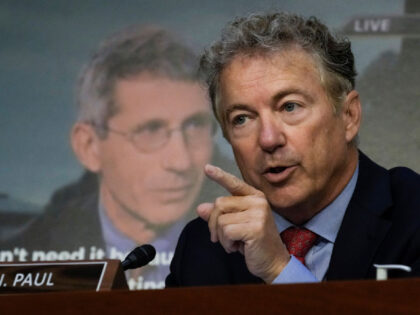 WASHINGTON, DC - SEPTEMBER 14: Sen. Rand Paul (R-KY) questions Dr. Anthony Fauci, director