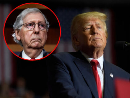 WASHINGTON, DC - AUGUST 02: Senate Minority Leader Mitch McConnell (R-KY) speaks at a news